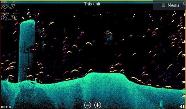 Lowrance-HDS-Live-FishReveal-imaging