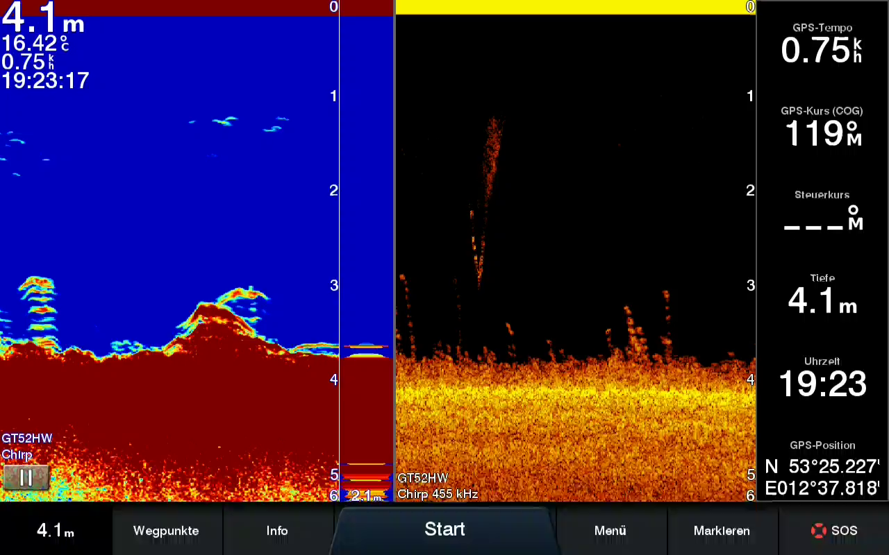 Sonar image showing vegetation beneath the boat