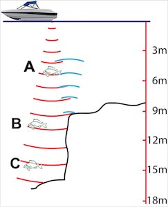 Basics of fish finder image interpretation