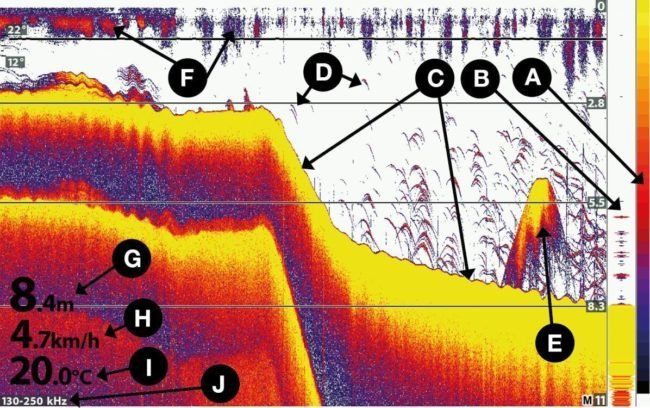 Fish finder image interpretation explained