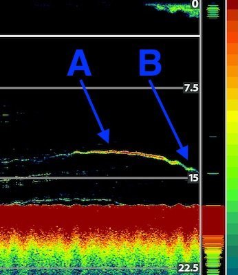 Example of fish finder image interpretation