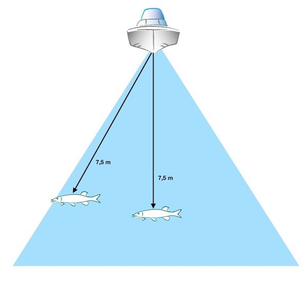 Interpreting fish finder images