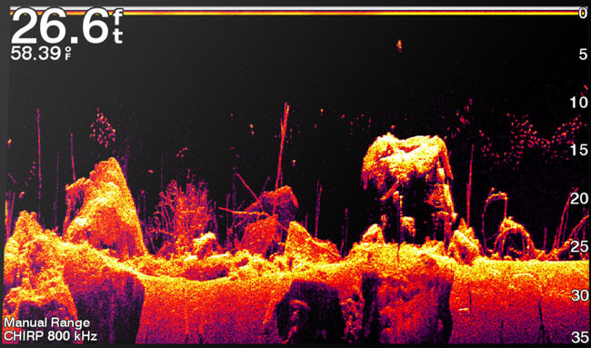 ClearVü sonar image showing detailed bottom structure
