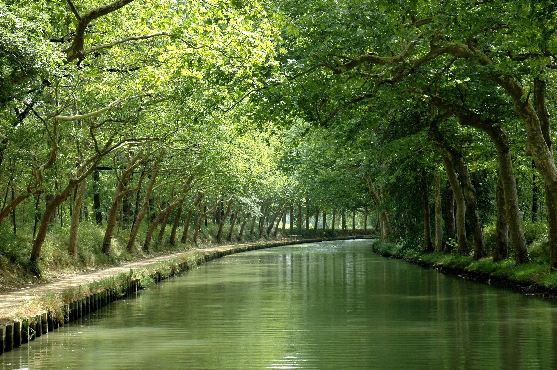 A tree-lined canal with a reinforced bank