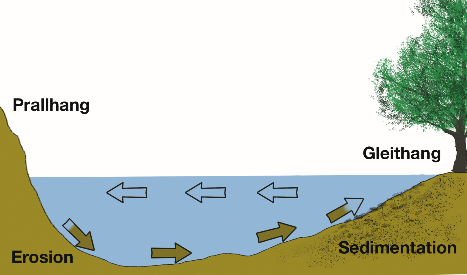 Diagram of outer and inner river bends for carp fishing