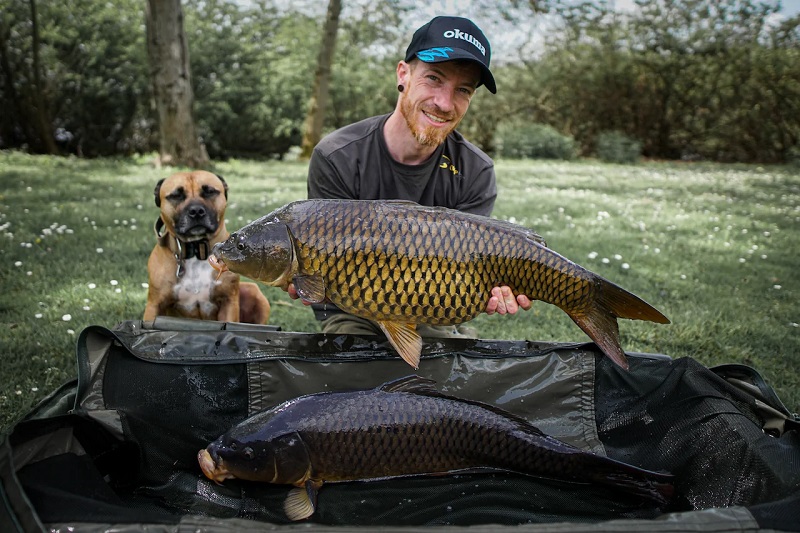 Carp in a shallow, vegetated shoreline area during spawning