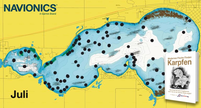 Carp locations after spawning in Clear Lake in July