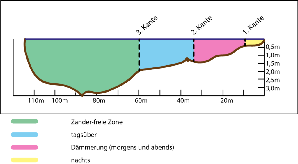 Daytime and nighttime locations of zander No. 35 in the river
