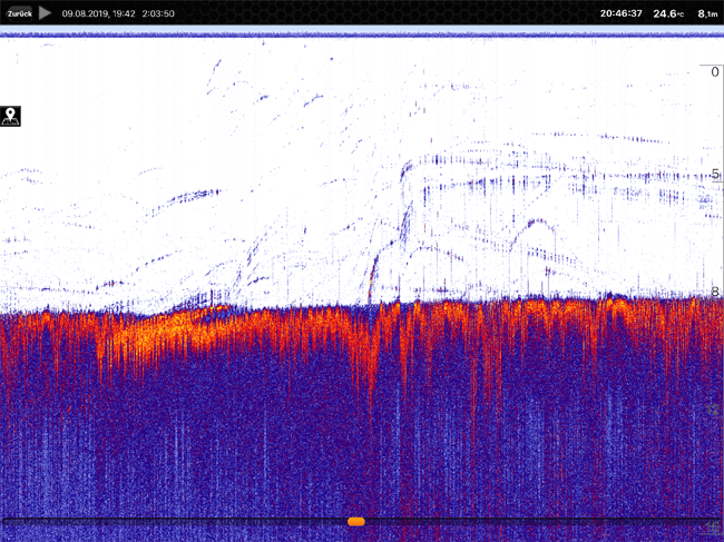 Deeper-pro-plus-sonar-display