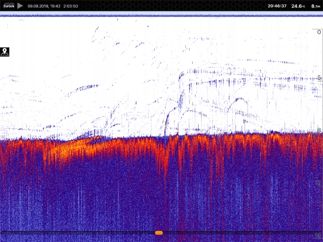 Understanding How to Read Deeper PRO/PRO+ 2 Fishfinder Display – Deepersonar