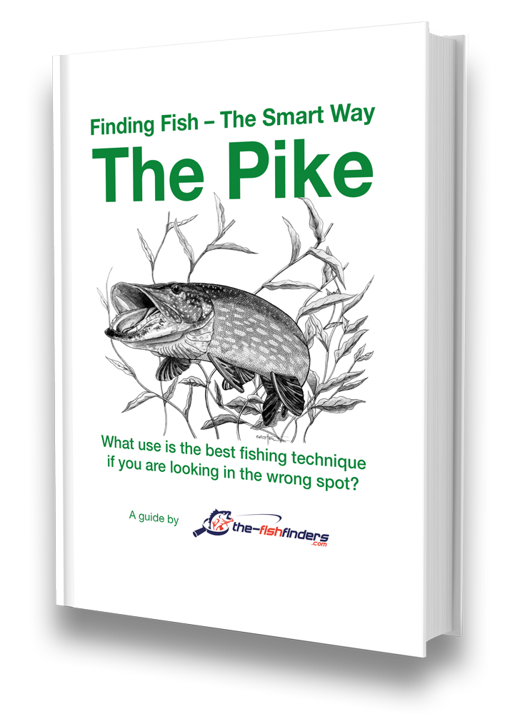 ᐅ Want to catch (big) pike - fast? (Fishing with German efficiency)