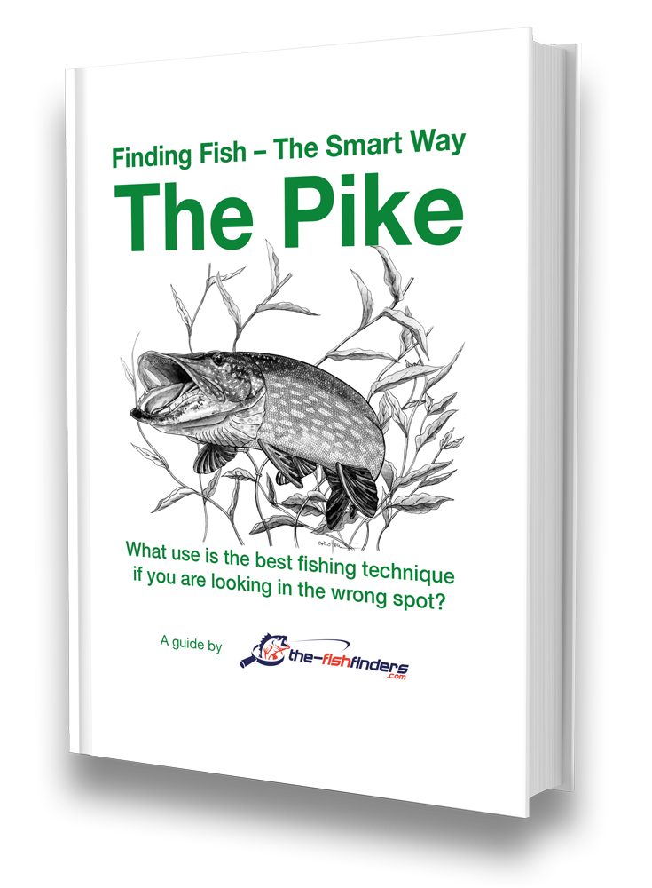 ᐅ Want to catch (big) pike - fast? (Fishing with German efficiency)