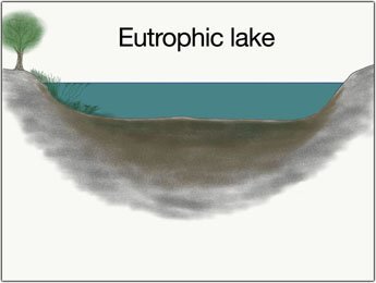 eutrophic-lake-catch-big-pike