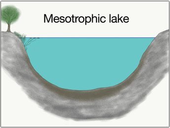 mesotrophic-lake-catch-big-pike