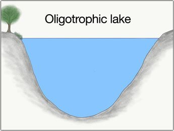 oligotrophic-lake-catch-big-pike