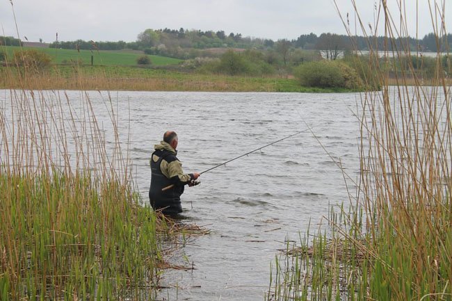 spring-pike-fishing-spawning-season