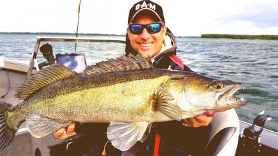 pikeperch or walleye fishing