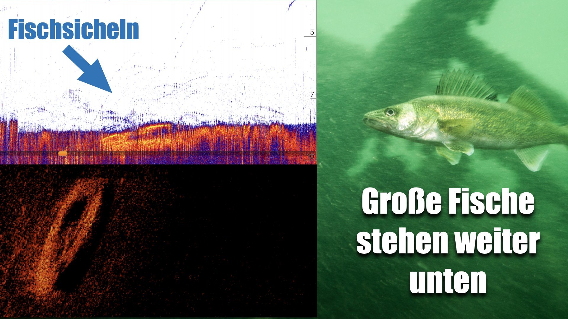 ᐅ The ultimate Deeper guide! Sonar Training Find and Catch more fish