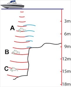 Echo-sounder-interpretation-sound-waves