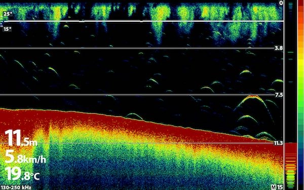 understanding-fish-finder-sonar-images