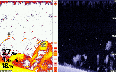 ᐅ Fish finders and sonars: How-To's! (Fishing with German efficiency)