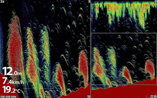 fish-finder-images-fish-crescent-interpretation