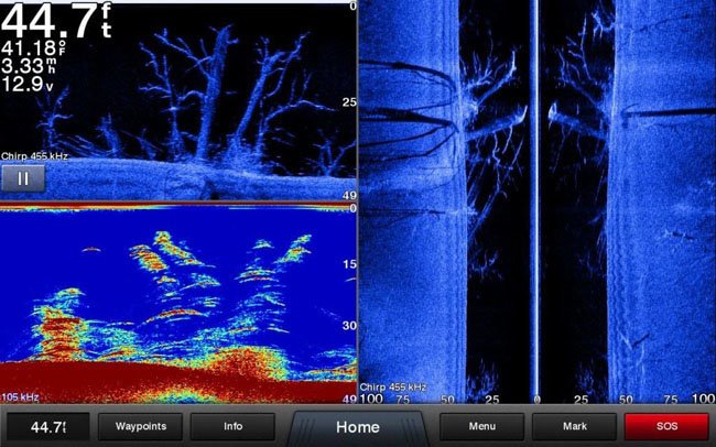 ᐅ How does a fish finder works? ᐅ【Tips and Tricks】◁