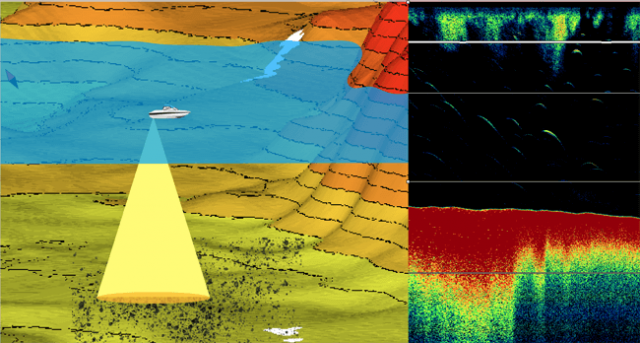 ᐅ How does a fish finder works? ᐅ【Tips and Tricks】