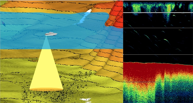 ᐅ How does a fish finder works? ᐅ【Tips and Tricks】◁