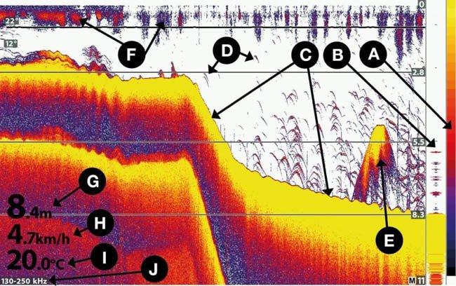 reading-fish-finder-image