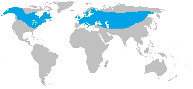 northern_pike_distribution_map