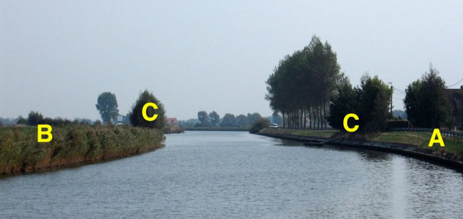 pike-fishing-river-bank-vegetation