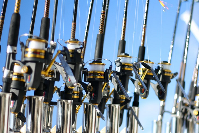 different_types_of_fishing_rods
